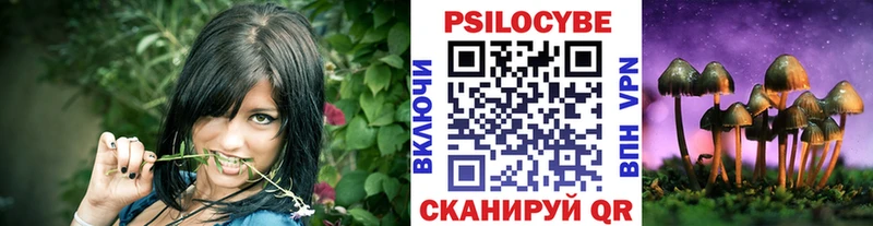 mega маркетплейс  Невинномысск  Псилоцибиновые грибы Psilocybine cubensis 